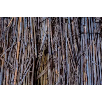 Organic Dry Indigo Leaves